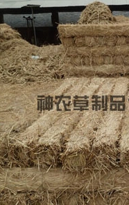 給樹(shù)干綁草繩有什么影響？